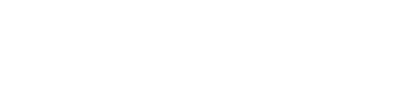 BlueVisa